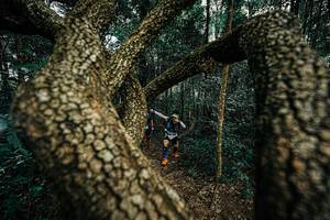 BIB: 
                            <button type="button" onclick="openModal(25393504)" class="btn btn-primary btn-sm float-right btn-popup" data-toggle="modal" data-target=".modal-high-quality">
                        <i class="fas fa-shopping-cart"></i> Add to Cart
                    </button>
                                            <button type="button" onclick="isThisMe(25393504, true)" class="btn btn-success btn-sm float-right btn-popup btn-isme hidden" data-toggle="tooltip" data-placement="bottom" title="นี่คือรูปของคุณใช่ไหม คลิกที่นี่เพื่อเอาเข้าอัลบั้ม">
                        <i class="fas fa-plus"></i> Add to album
                    </button>
                    <button type="button" onclick="isThisMe(25393504, false)" class="btn btn-warning btn-sm float-right btn-popup btn-isnotme hidden">
                        <i class="fas fa-ban"></i> Remove from album
                    </button>